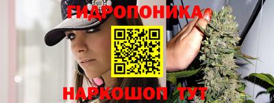 a pvp Конаково